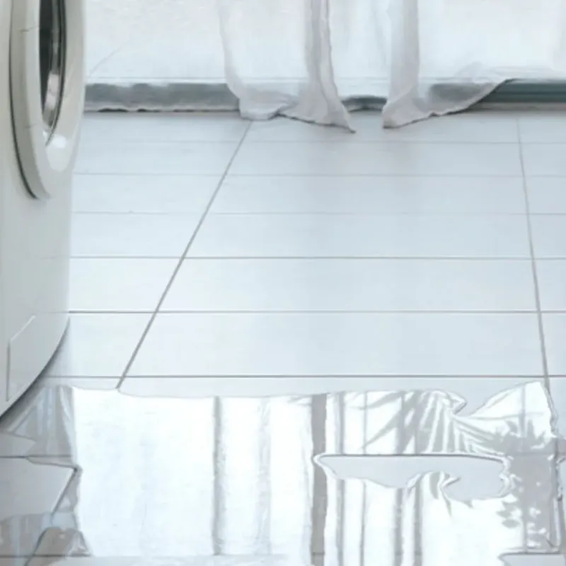 Appliance Leak Cleanup in Sandy Hook, KY