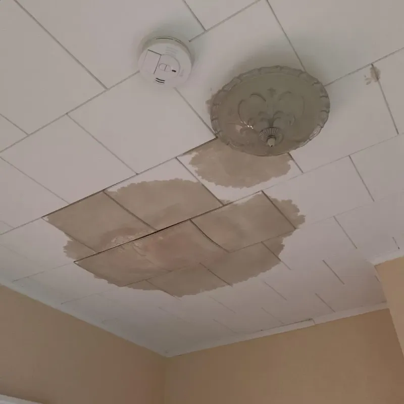 Ceiling Water Damage Repair in Sandy Hook, KY
