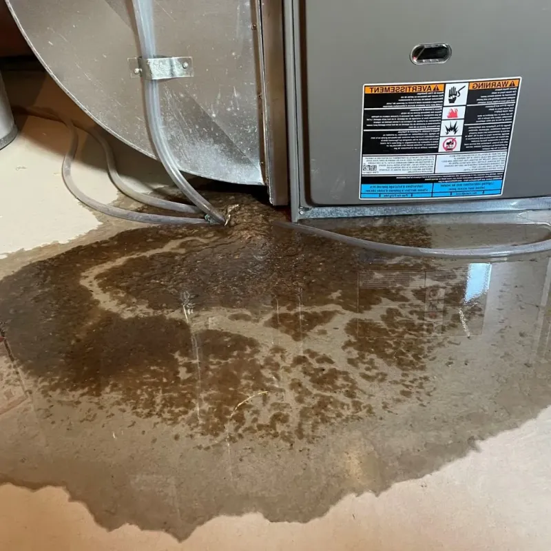 Pipe Burst and Leak Restoration in Sandy Hook, KY