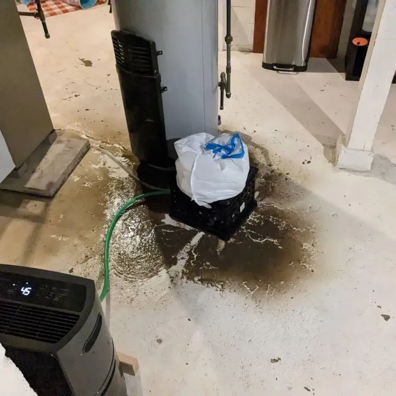 Sewage Backup Cleanup Service in Sandy Hook, KY